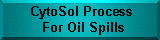 CytoSol Process